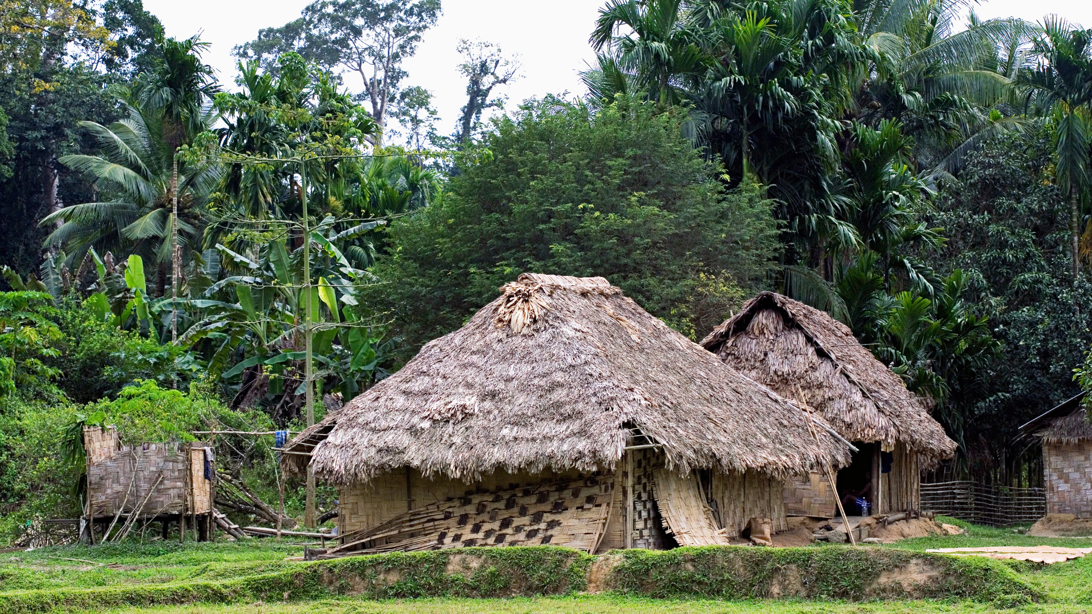 Port Blair to Baratang Island and explore the limestone caves