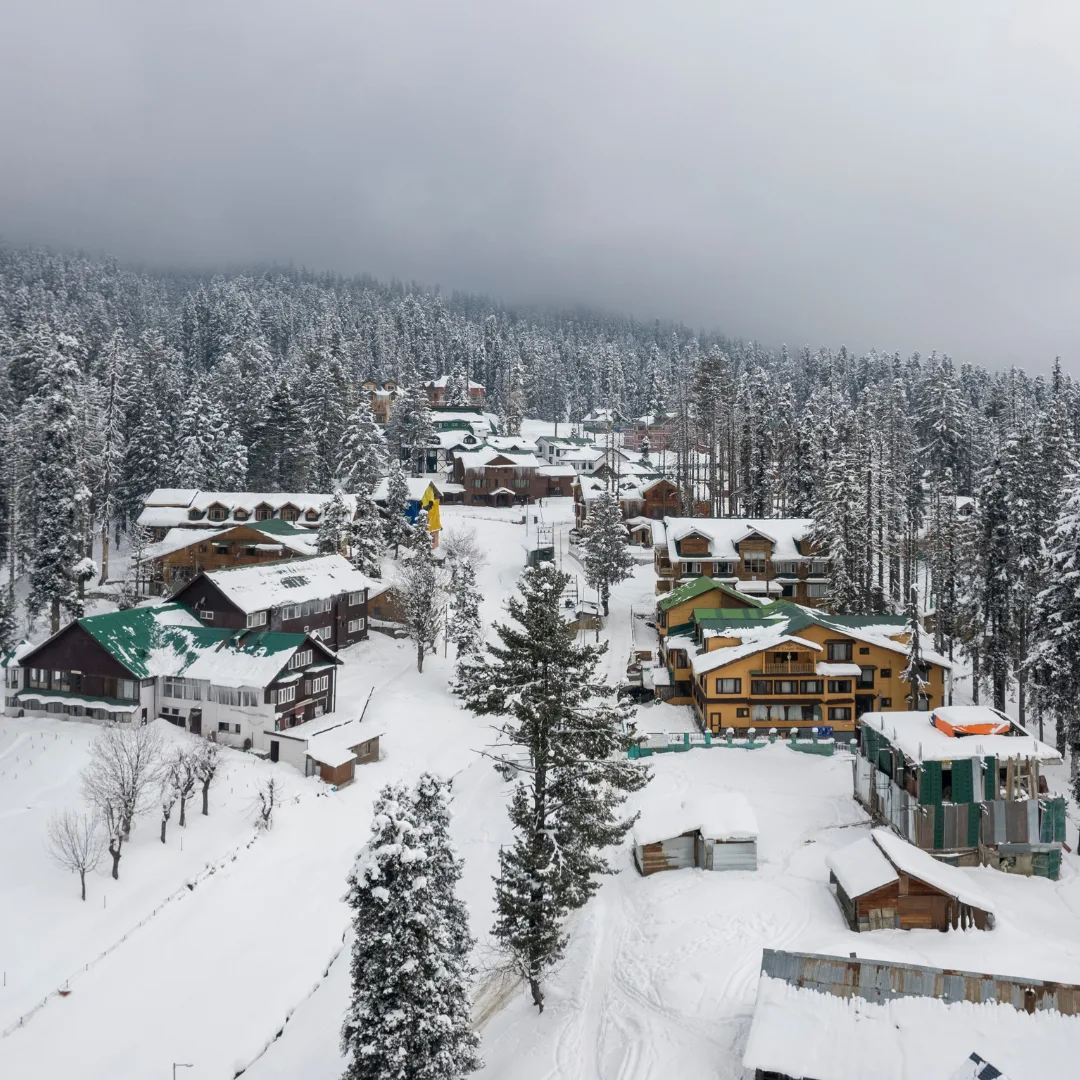 Arrival in Srinagar & Transfer to Tangmarg