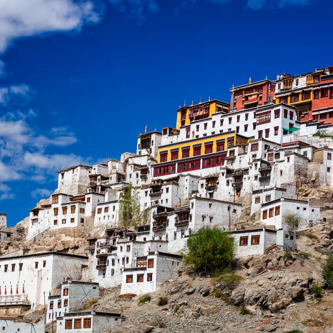 Return to Leh via Thiksey Monastery