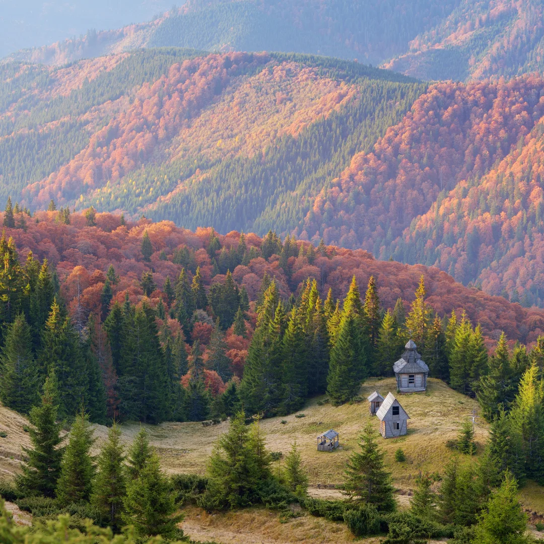 Huns Ethno Village Experience