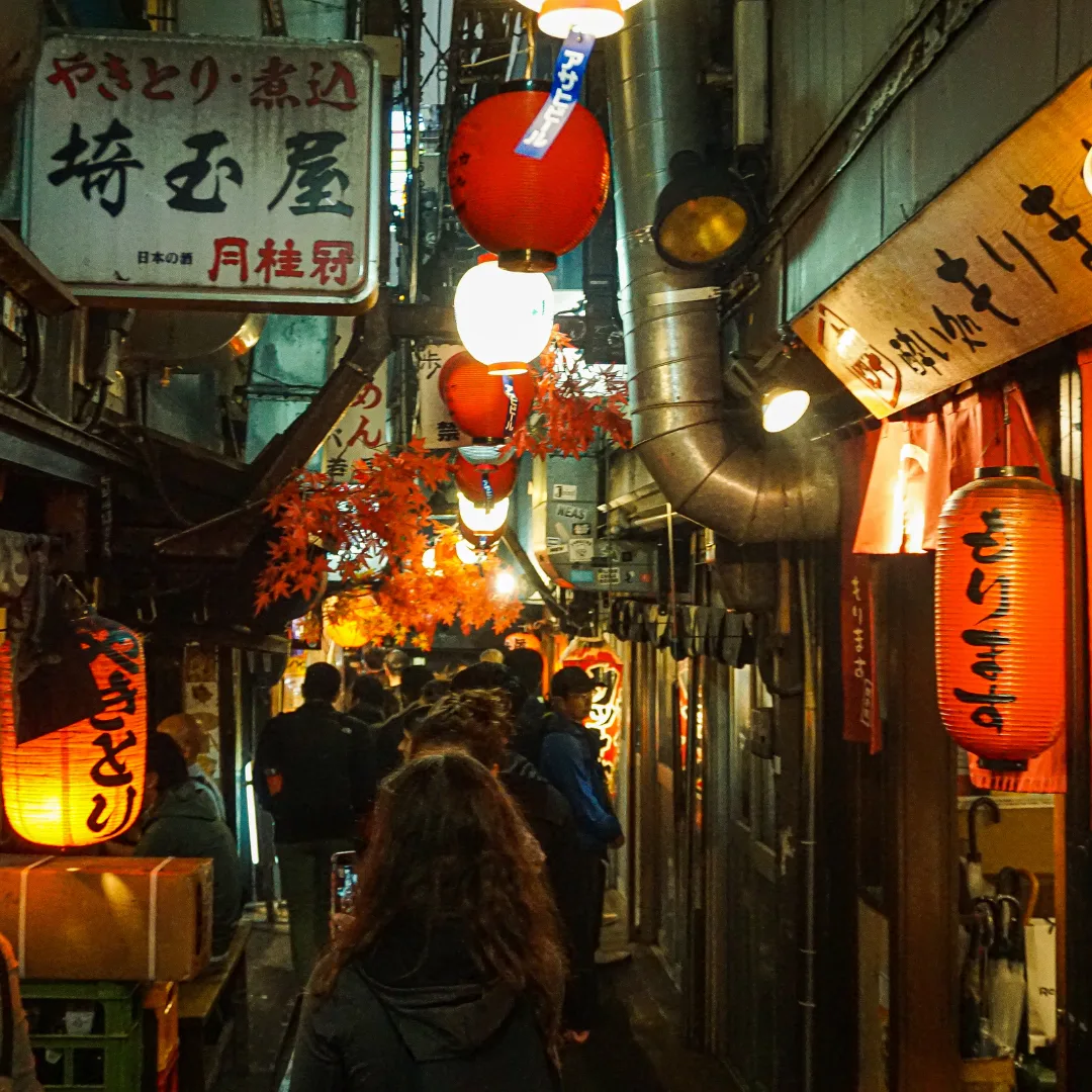 Arrival in Tokyo & Izakaya Night