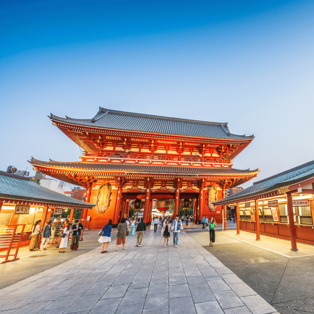 Full Day Tokyo City Tour and Go Karting Optional experience