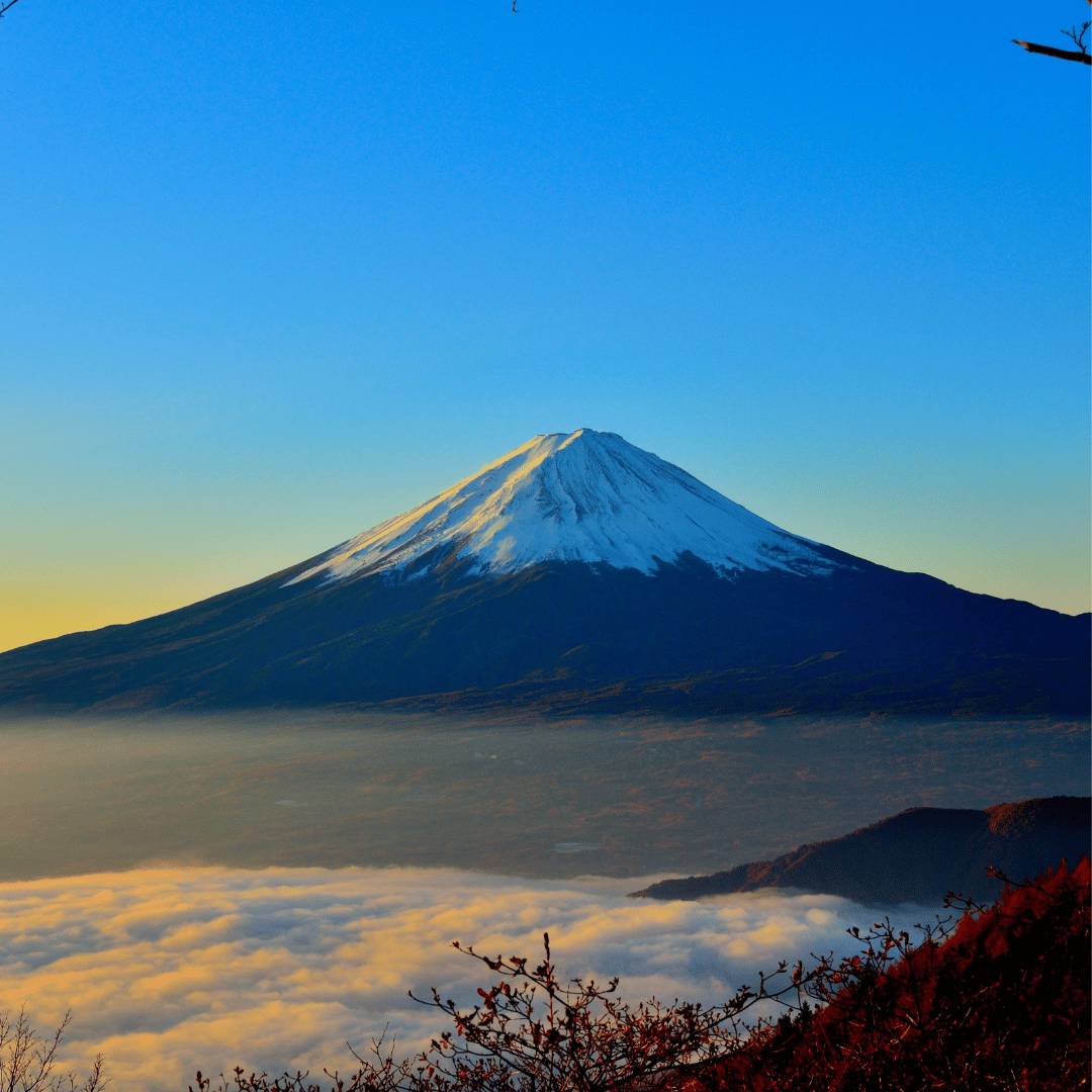 Full Day Mount Fuji Day Trip with Lunch