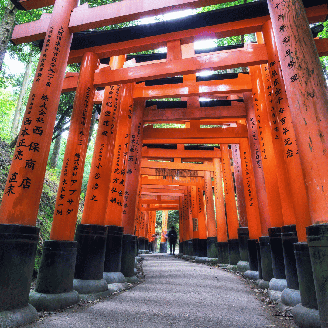 Full Day Kyoto Day Tour