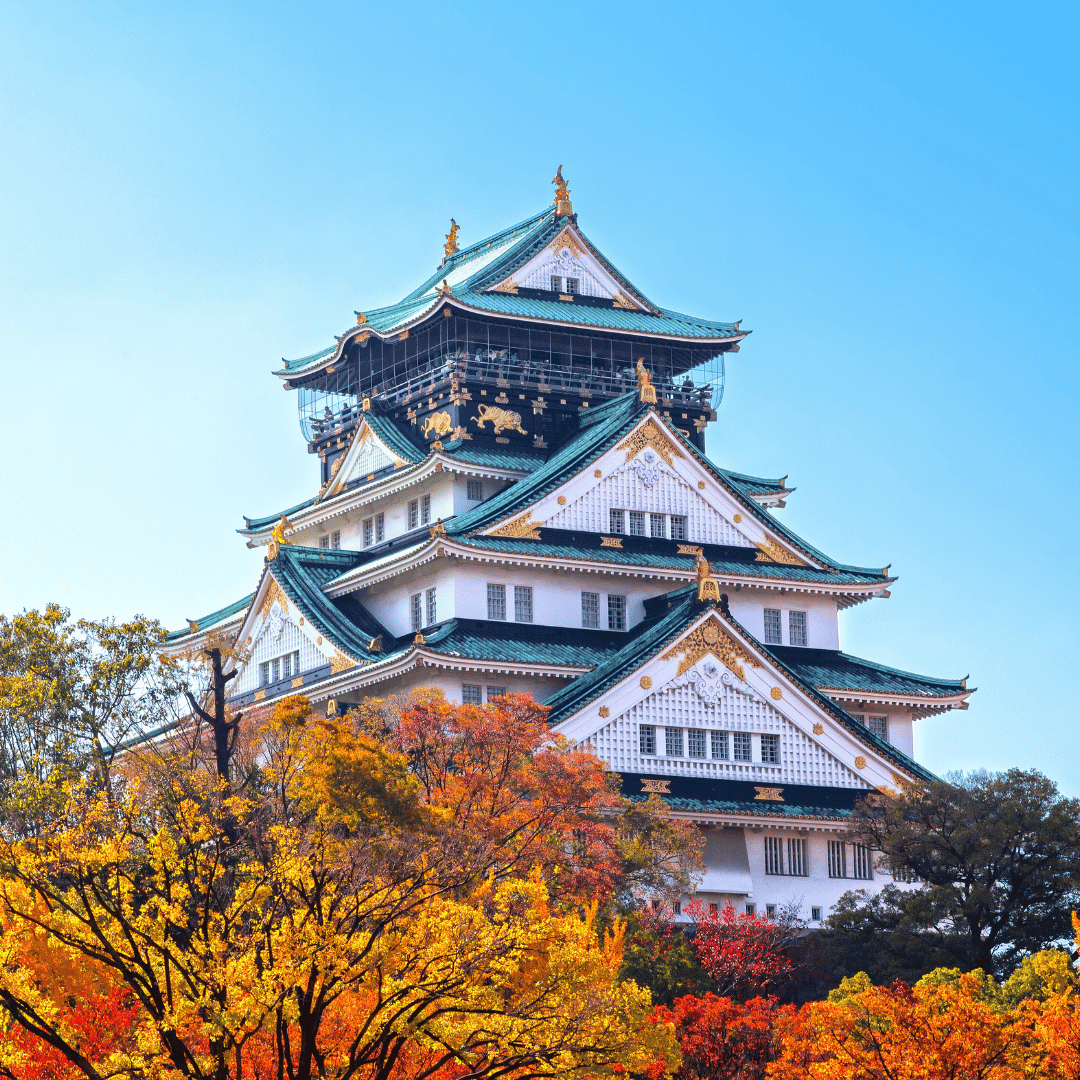 Transfer to Osaka via local train | Evening explore Dotonbori street and try local food