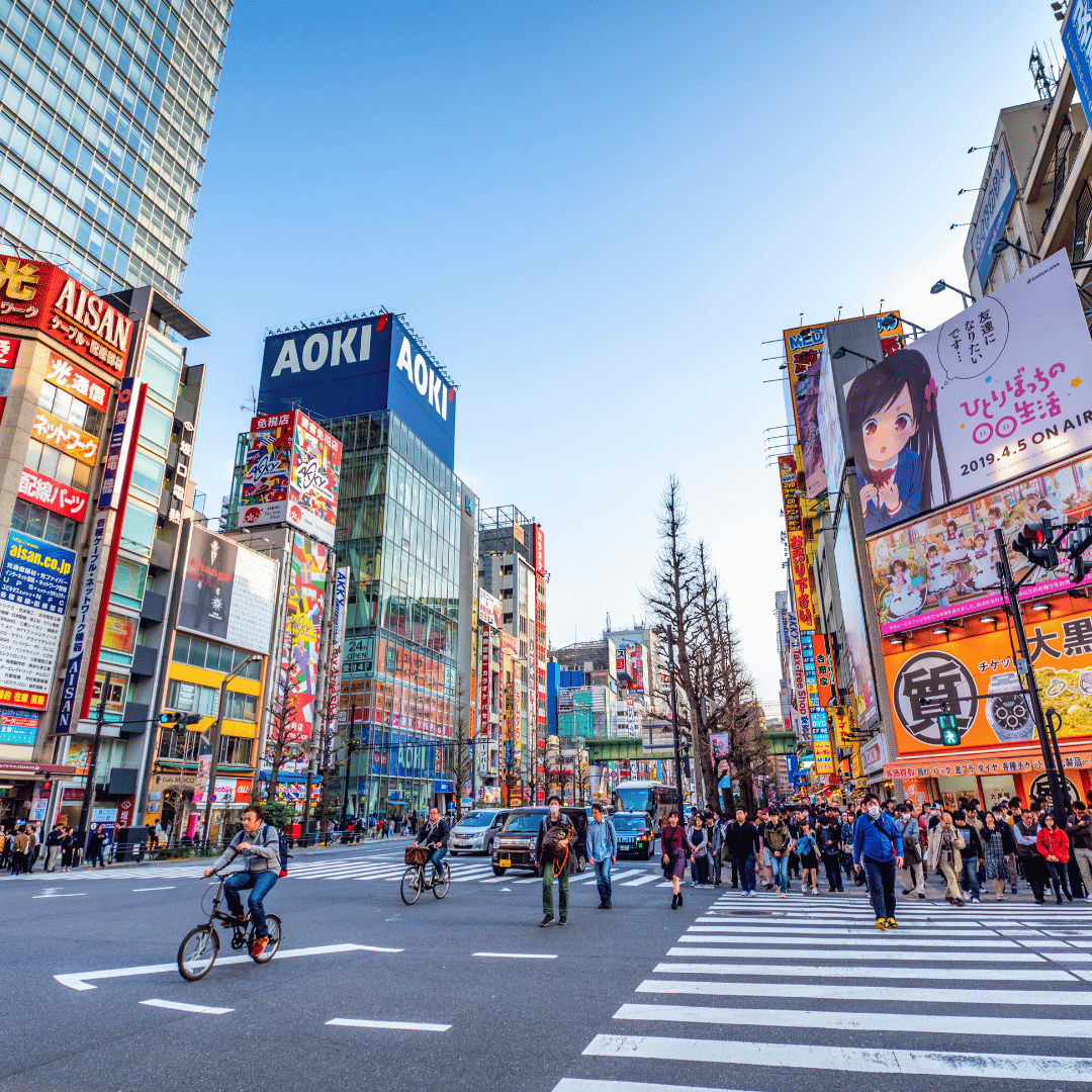 Arrive at Haneda Airport | Transfer to Hotel Evening TeamLabs