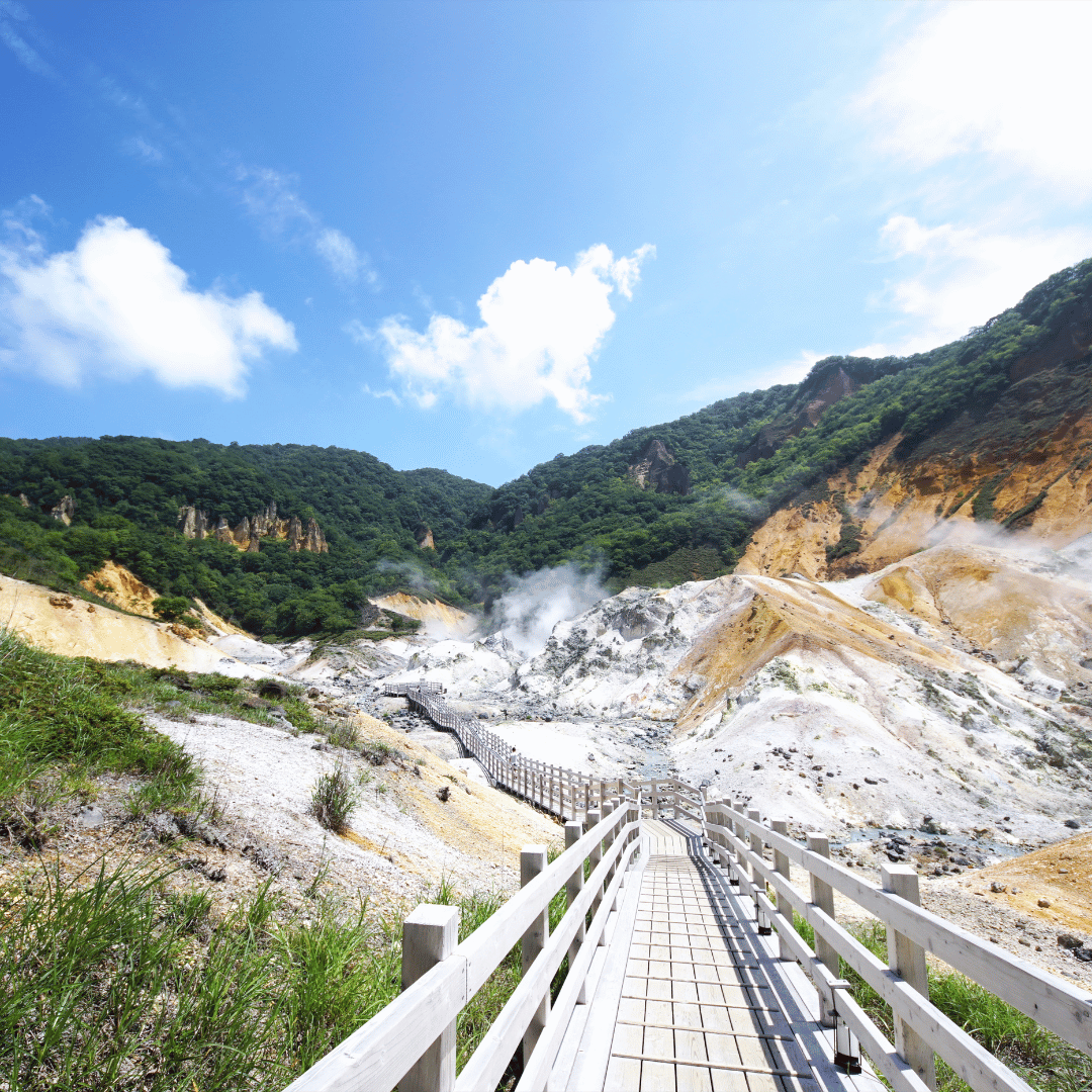 Full day exploration of Hokkaido area and autumn chase