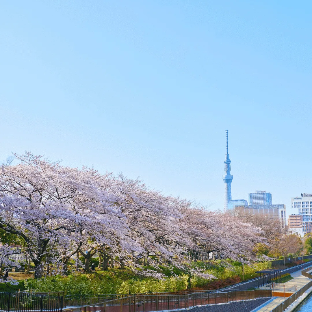 Welcome To Japan: Arrival in Tokyo