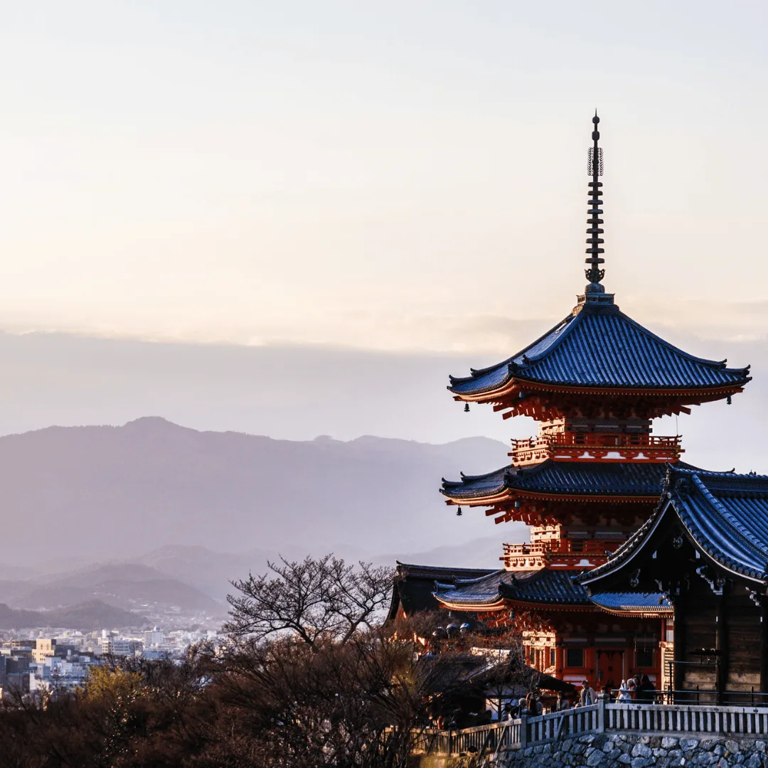 Trip Ends | Airport Drop