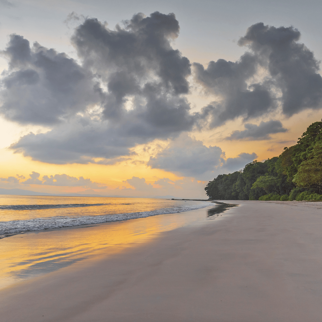 Why Andaman Is the Perfect Island Getaway for Women in 2025