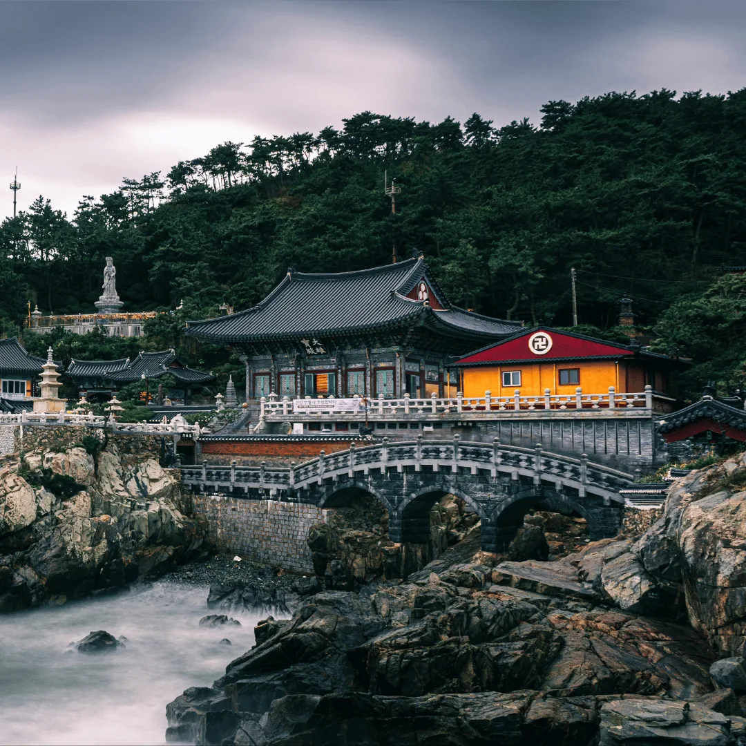 Full day explore Busan