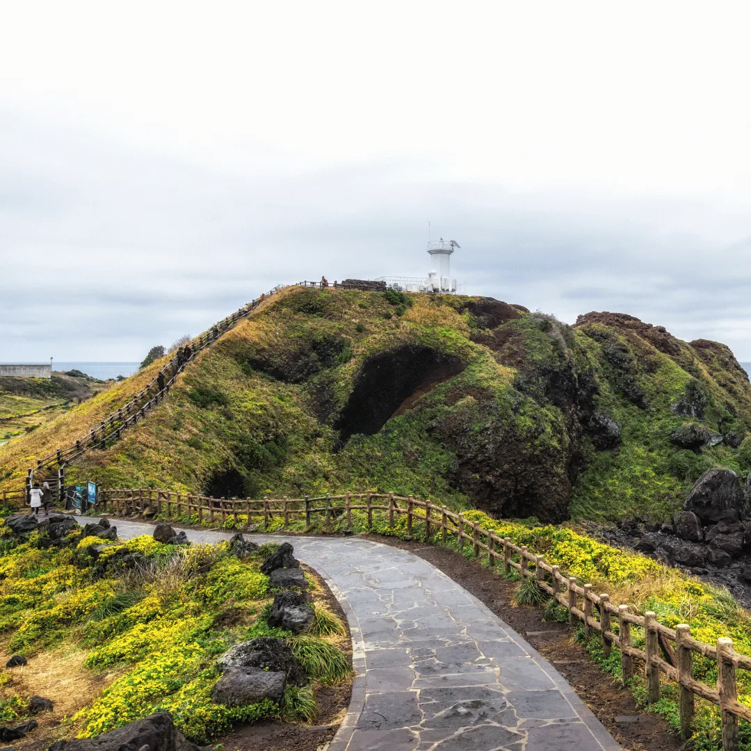 Full day Jeju island tour