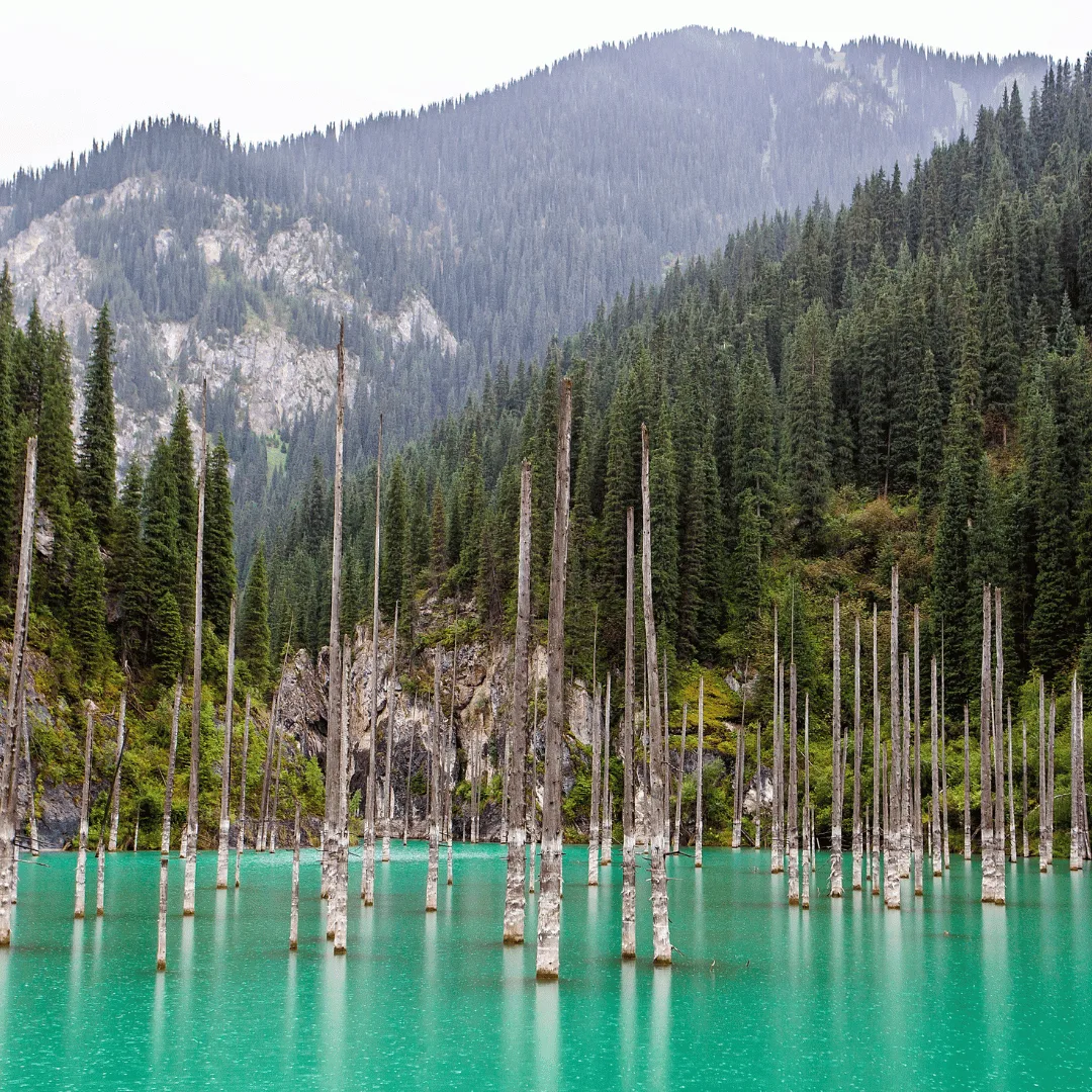 Kaindy Lake & Return to Almaty