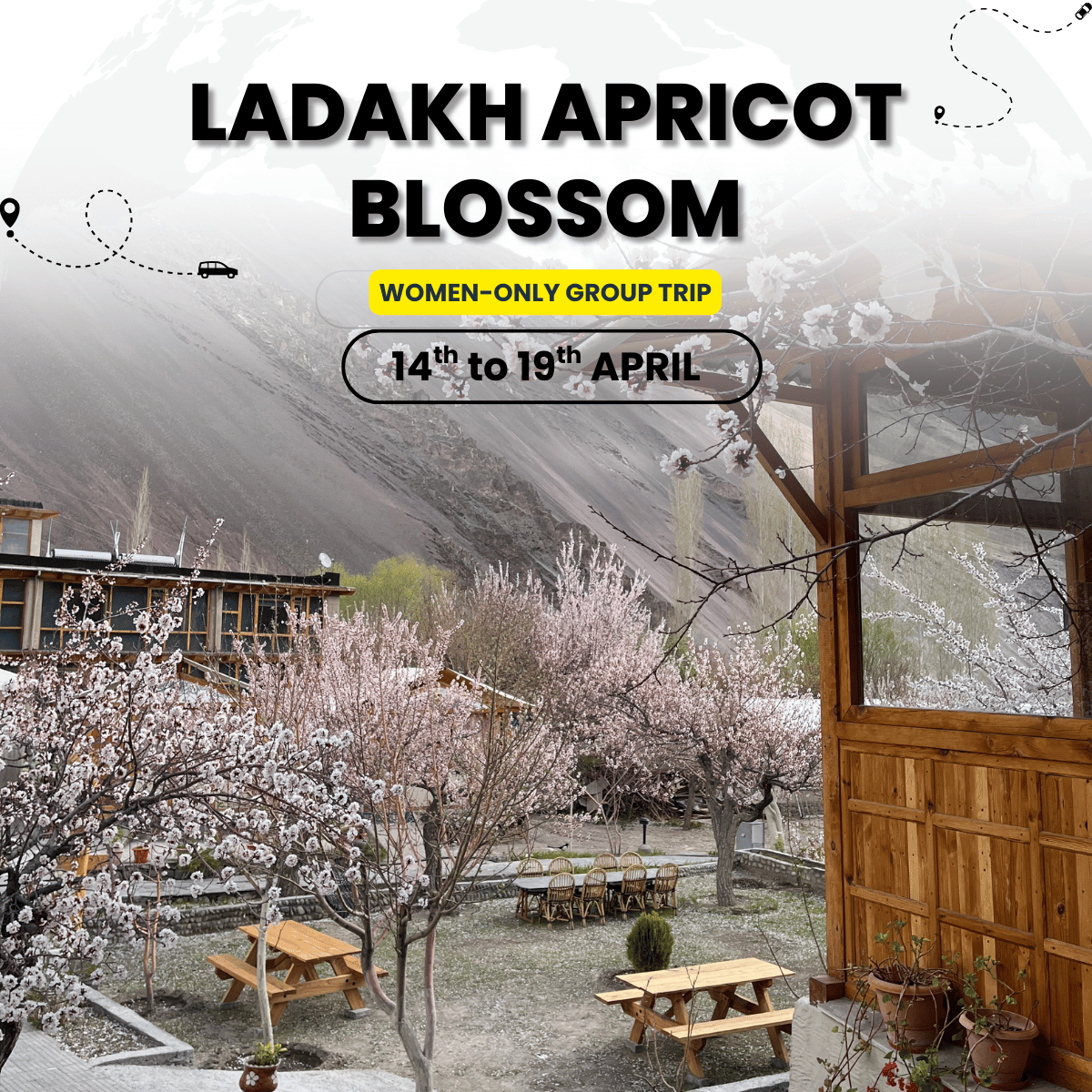 Ladakh Women-Only Blossom Trail | Leh Aryan Valley Pangong