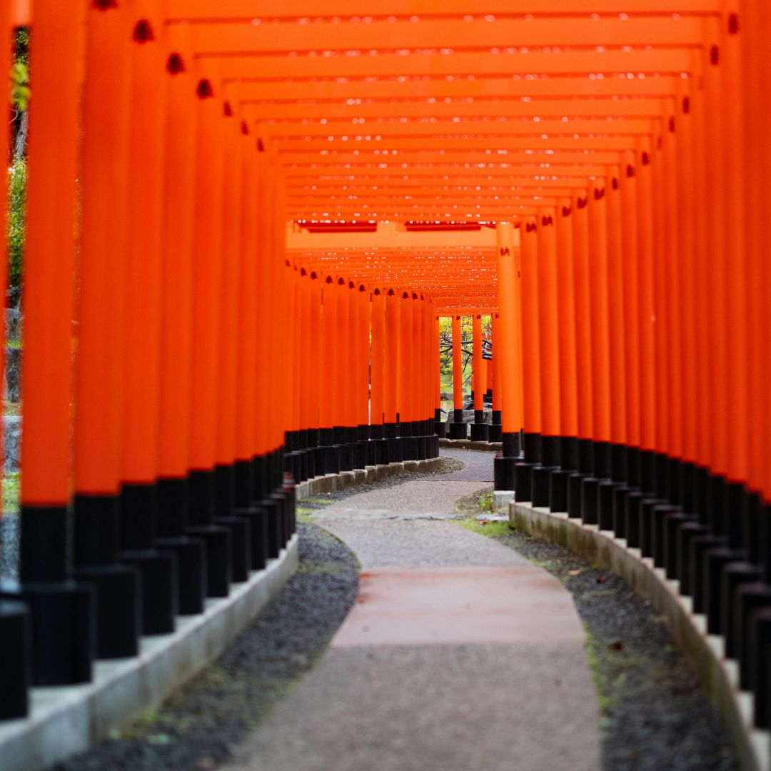 Full Day Kyoto Day Tour